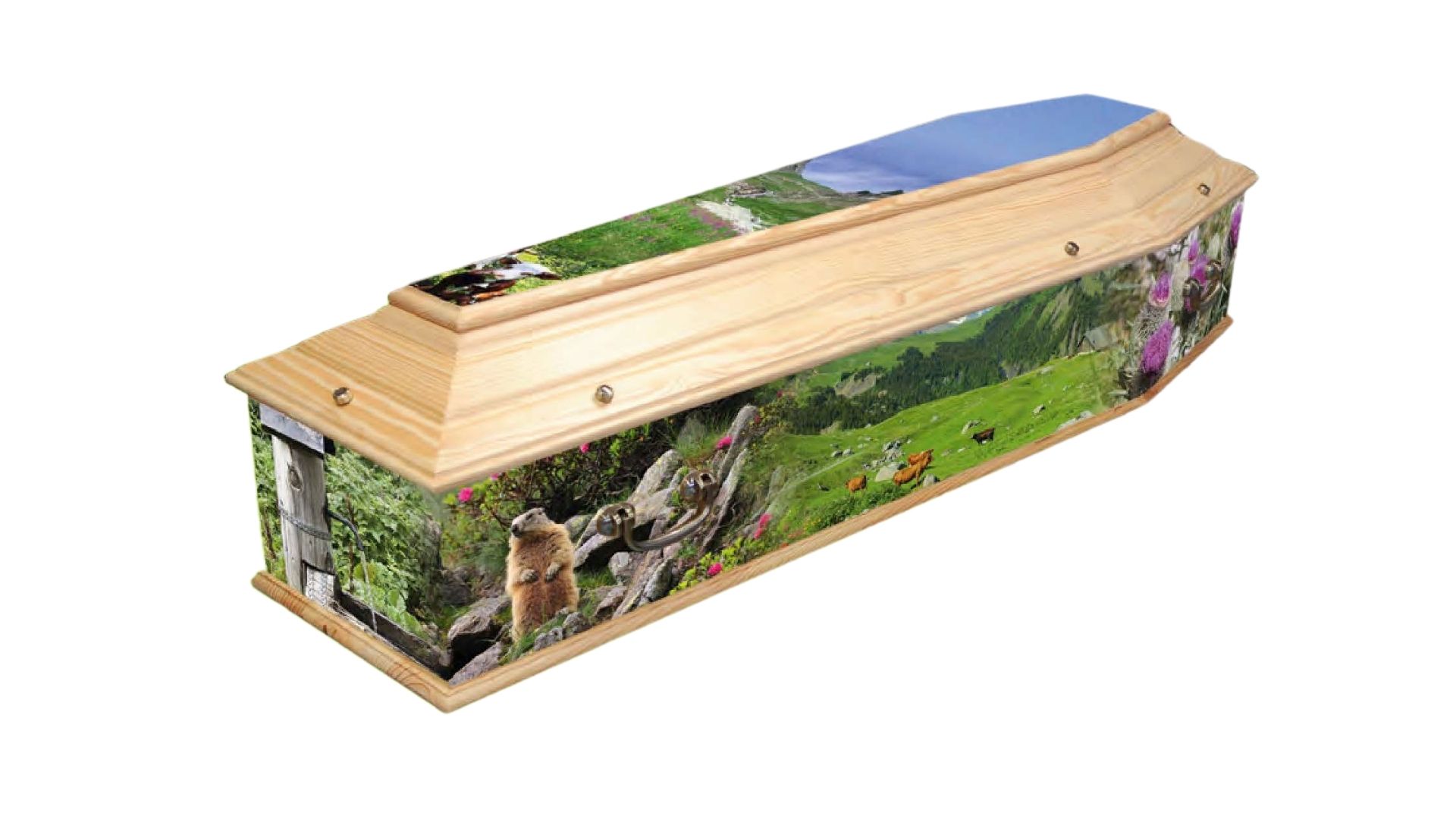 Cercueil personnalisé Montagne, Gamme Tombeau, pin, 2190€